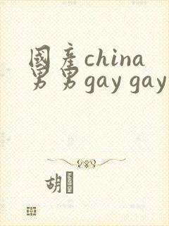国产china男男gay gay网站