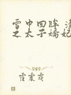 雪中回眸 清穿之太子娇妃