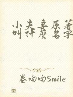 小夫妻原著小说叫什么名字