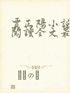 贾正阳小说免费阅读全文最新章节封面