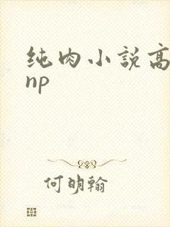 纯肉小说高h np