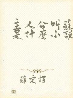 主人公叫苏洛的是什么小说封面