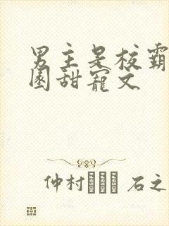 男主是校霸的校园甜宠文