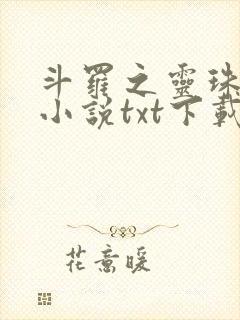 斗罗之灵珠神剑小说txt下载封面