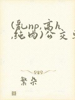 (乱np,高h,纯肉)公交车群p