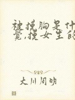 被摸胸是什么感觉,摸女生的胸是什么感觉?