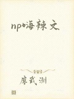 np嗨辣文封面