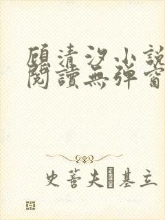 顾清汐小说免费阅读无弹窗