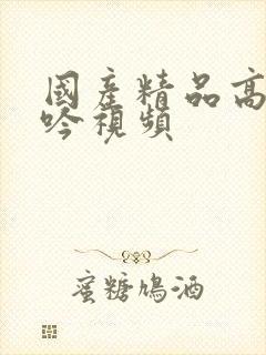 国产精品高潮呻吟视频