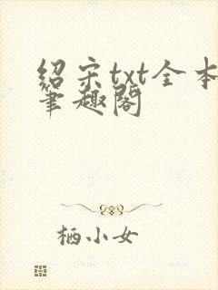 绍宋txt全本笔趣阁