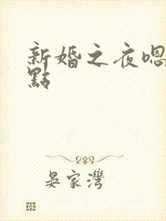 新婚之夜嗯～轻点