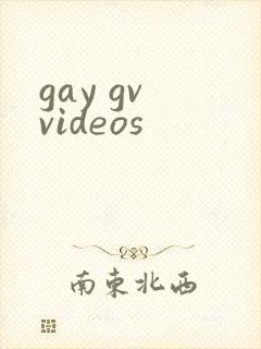 gay gv videos
