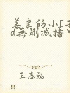 善良的小[子hd无删减播中文