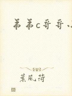 弟弟c哥哥小说