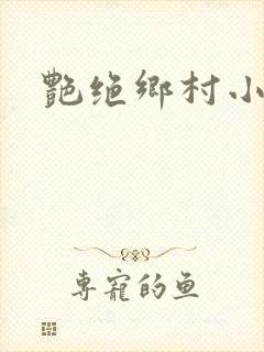 艳绝乡村小说封面