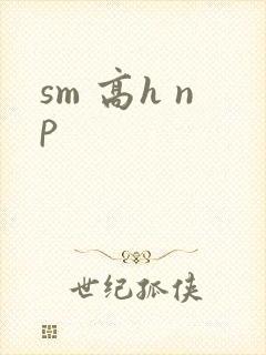 sm 高h np封面