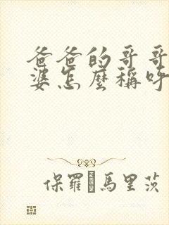 爸爸的哥哥的老婆怎么称呼