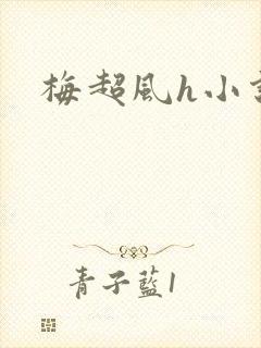 梅超风h小说