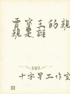 贾宝玉的亲生母亲是谁