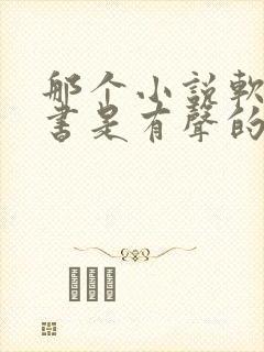 那个小说软件听书是有声的
