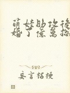 萌娃助攻后我闪婚了亿万总裁封面