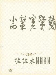 小说官路扶摇崔向东免费阅读封面
