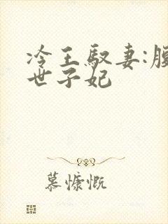 冷王驭妻:腹黑世子妃