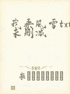我乘风雪txt未删减