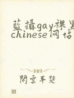 蓝摄gay裸男chinese网站