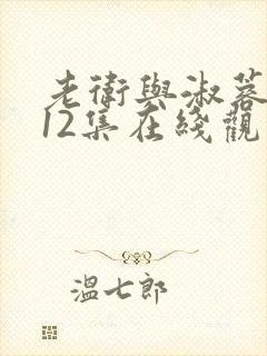 老卫与淑蓉7一12集在线观看封面