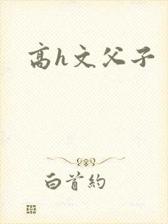 高h文父子封面
