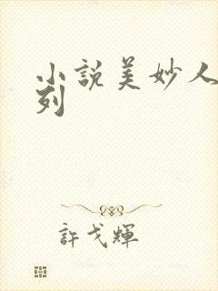 小说美妙人妻系列