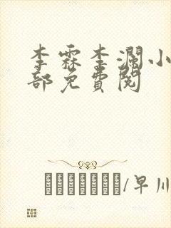 李霖李澜小说全部免费阅