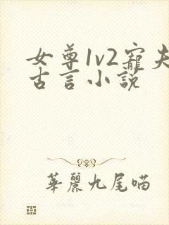 女尊1v2宠夫古言小说