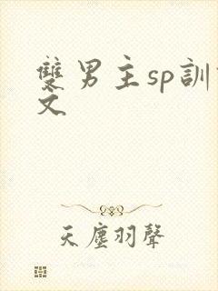 双男主sp训诫文