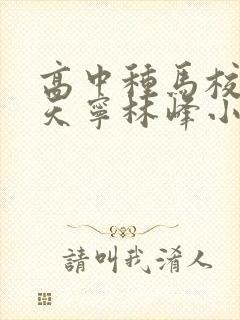 高中种马校草杨天宁林峰小说笔趣阁封面
