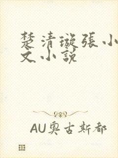 楚清璇张小凡全文小说