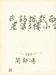 我的总裁白富美老婆3楼小说目录