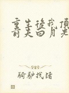 重生后我顶替了前夫白月光小说免费