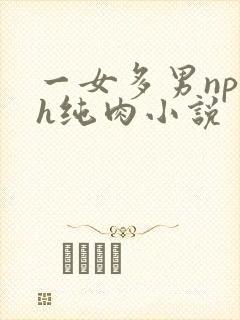 一女多男np高h纯肉小说