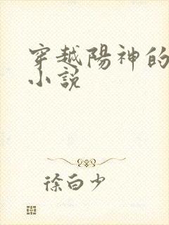 穿越阳神的诸天小说