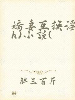 娇妻互换淫欢(h)小说(封面