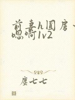 前妻h圆房～h嗯啊1v2封面