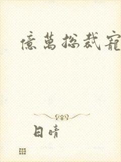 亿万总裁宠妻忙