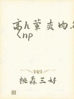 高h荤爽肉欲文〈np