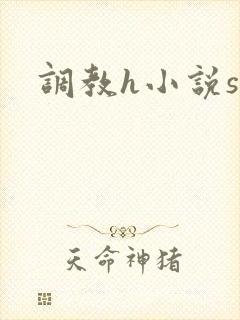 调教h小说sm