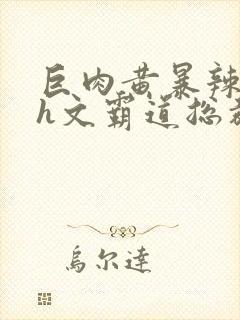 巨肉黄暴辣文高h文霸道总裁