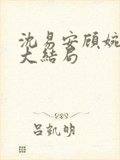 沈易安顾婉后续大结局