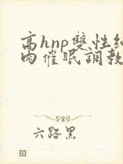 高hnp双性纯肉催眠调教