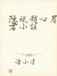 陈斌赵心眉高婉君小说
